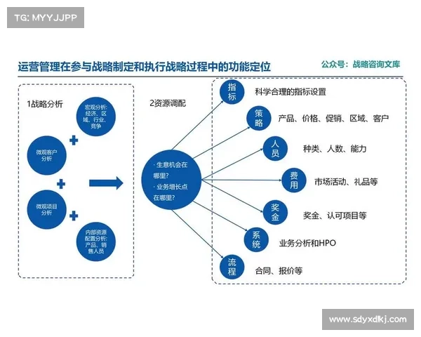 探寻斯坦福桥组织结构与运营模式的深度解析